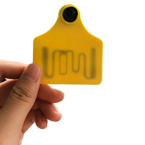 ear rfid tag|livestock tracking ear tags.